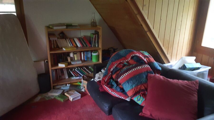 desinfestateur a-Chavannes-le-Veyron-Inspektion.jpeg