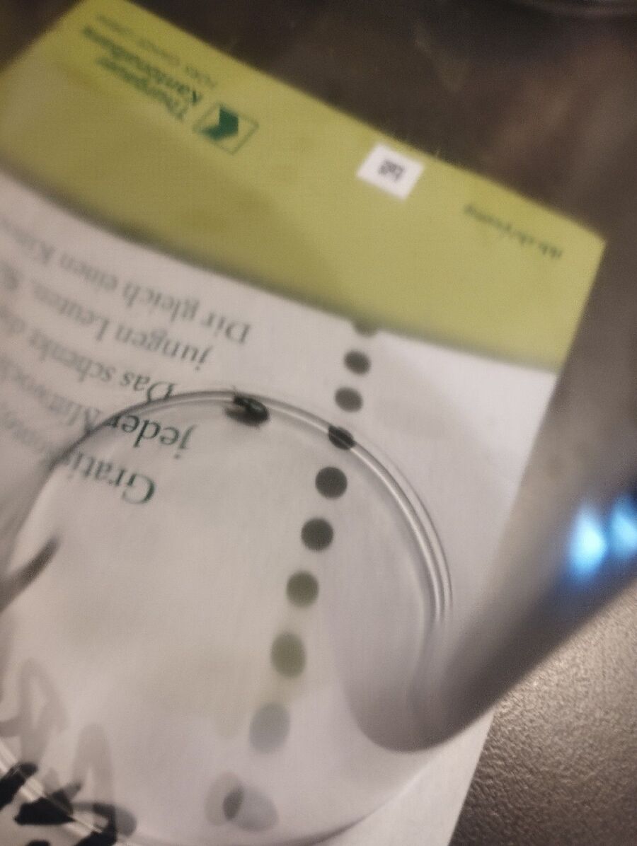 desinfestateur a-Chavannes-sur-Moudon-Inspektion.jpeg