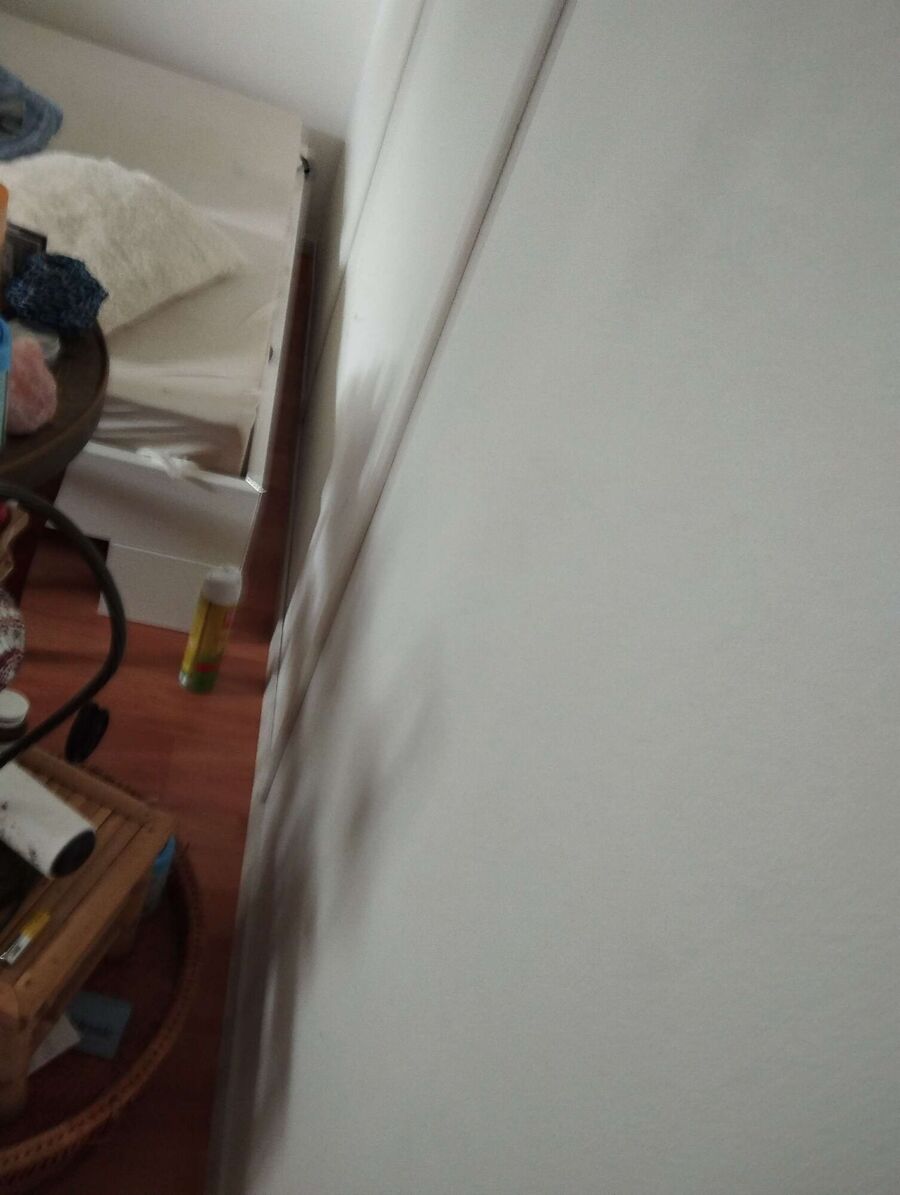 desinfestateur a-Cheseaux-sur-Lausanne-Inspektion.jpeg