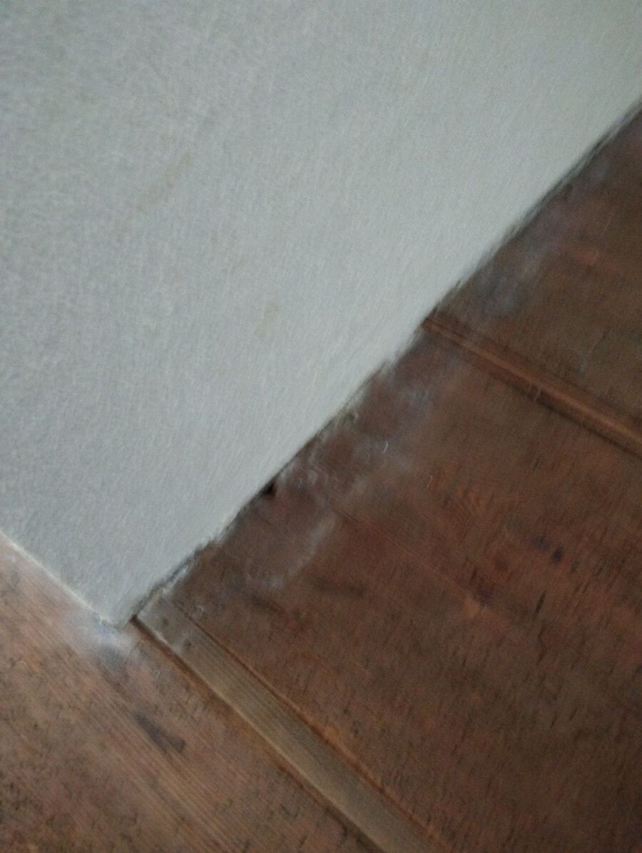 desinfestateur a-Chevilly-Inspektion.jpeg