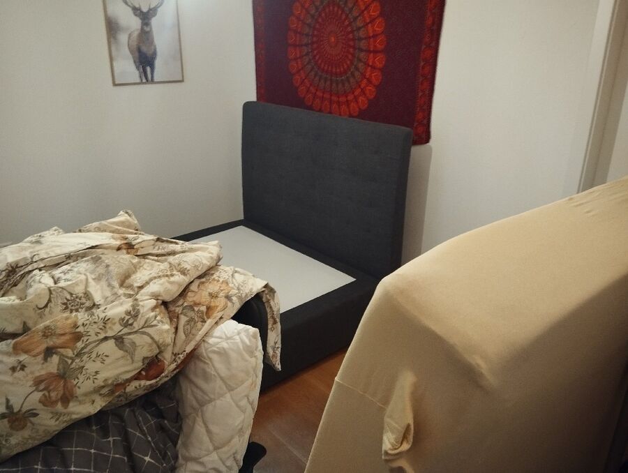 desinfestateur a-Finhaut-Inspektion.jpeg