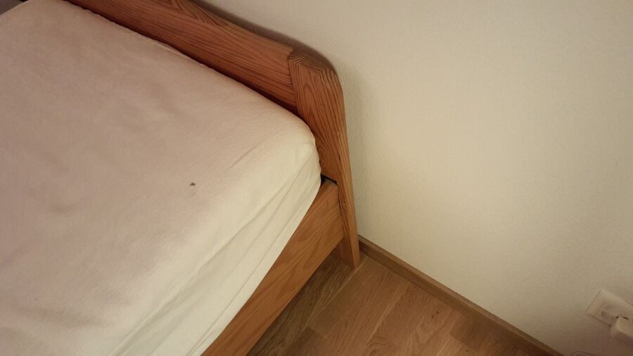 desinfestateur a-Fully-Inspektion.jpeg