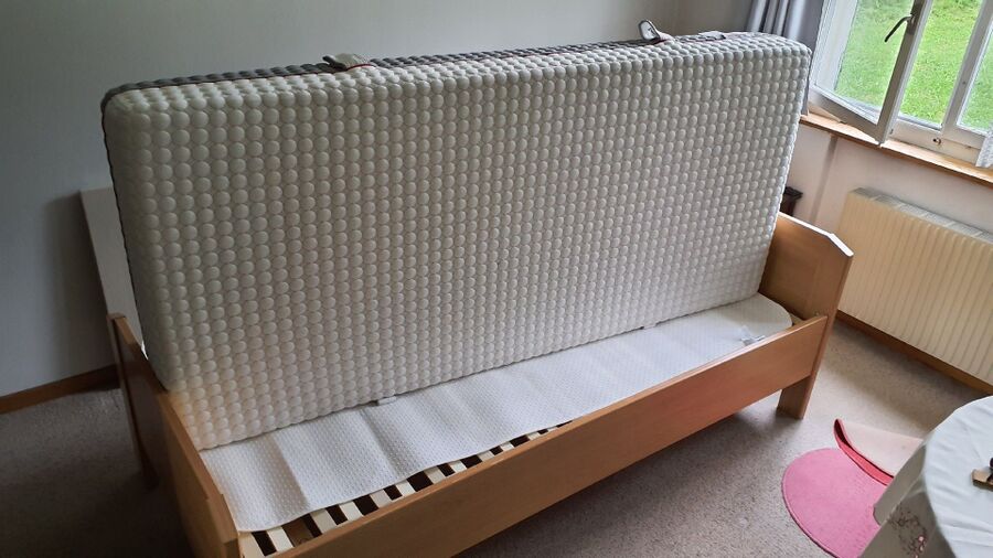 desinfestateur a-Goms-Inspektion.jpeg