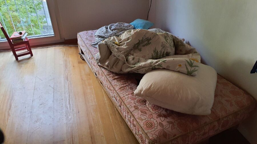 desinfestateur a-Coppet-Inspektion.jpeg