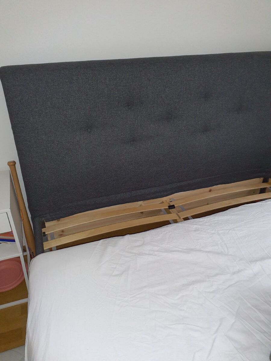 desinfestateur a-Corcelles-près-Payerne-Inspektion.jpeg