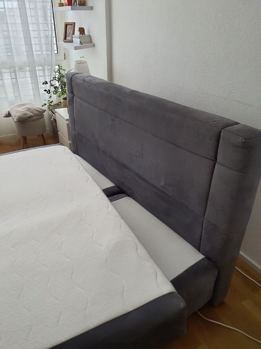 desinfestateur a-Cossonay-Inspektion.jpeg