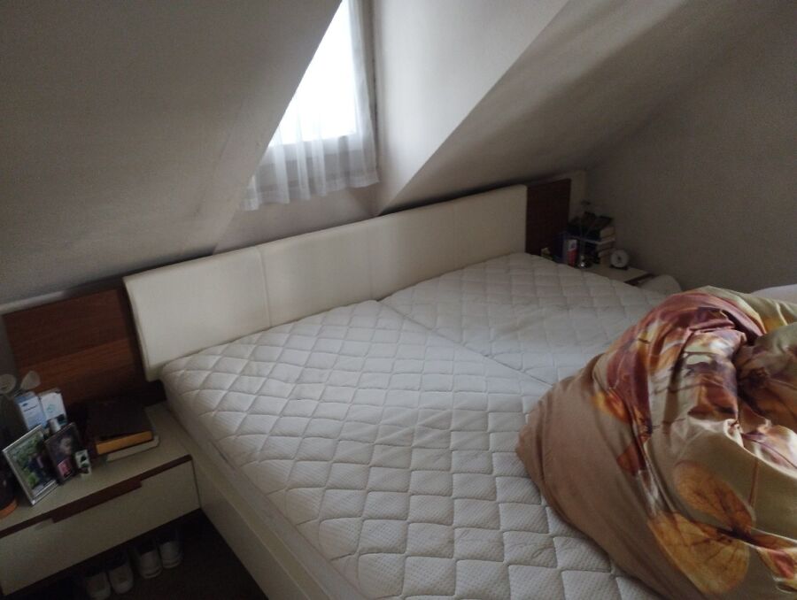 desinfestateur a-Kippel-Inspektion.jpeg