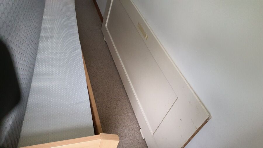 desinfestateur a-Greng-Inspektion.jpeg