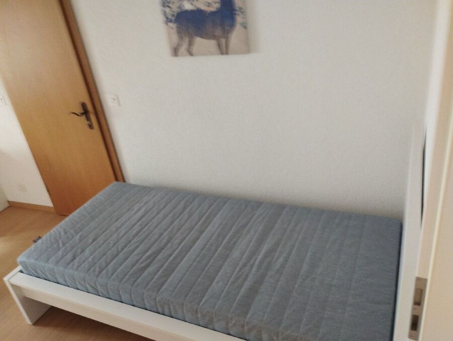 desinfestateur a-Croy-Inspektion.jpeg