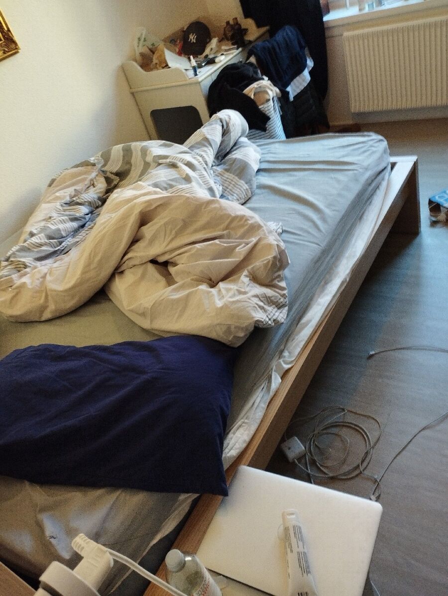 desinfestateur a-Cuarnens-Inspektion.jpeg