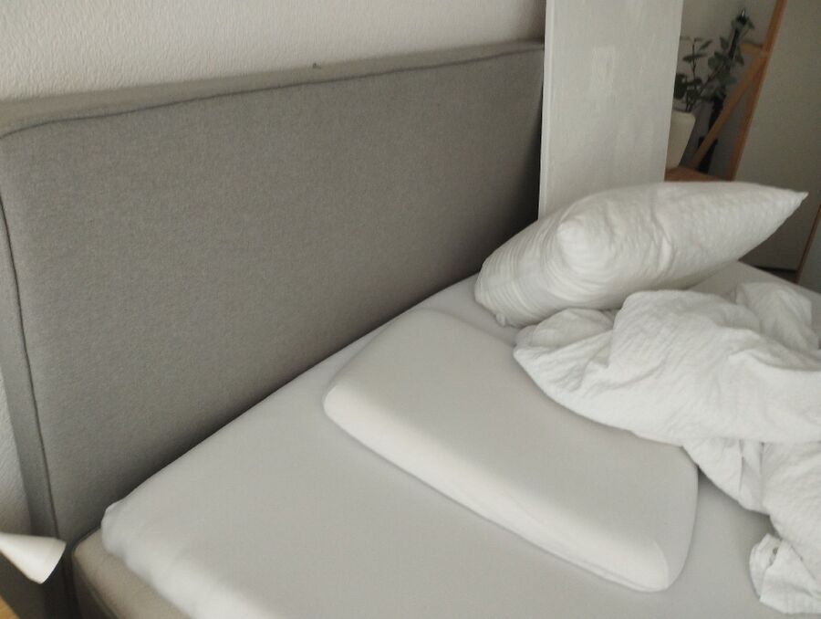 desinfestateur a-Cudrefin-Inspektion.jpeg