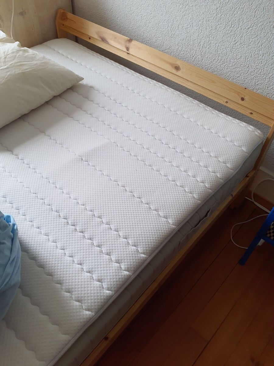 desinfestateur a-Mont-Noble-Inspektion.jpeg