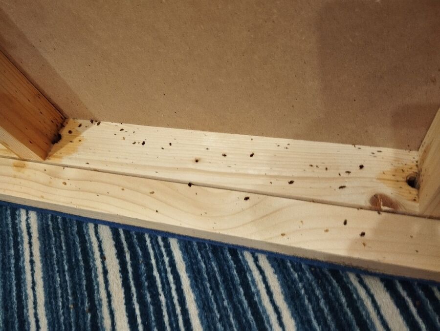 desinfestateur a-Les Verrières-Inspektion.jpeg