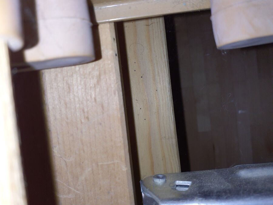 desinfestateur a-Donneloye-Inspektion.jpeg