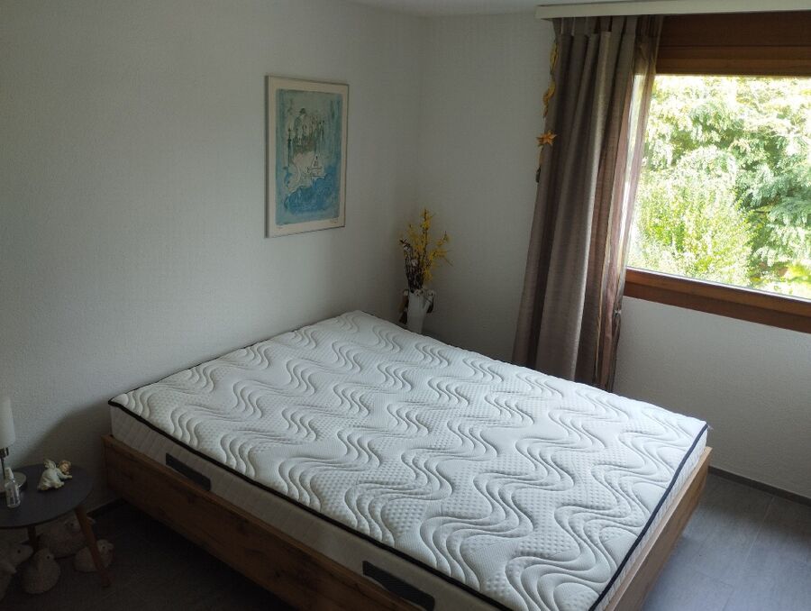 desinfestateur a-Oberems-Inspektion.jpeg