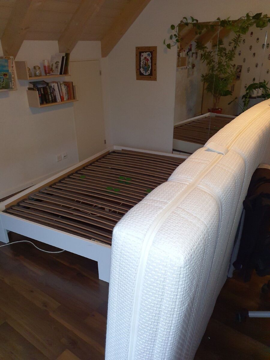 desinfestateur a-Echallens-Inspektion.jpeg