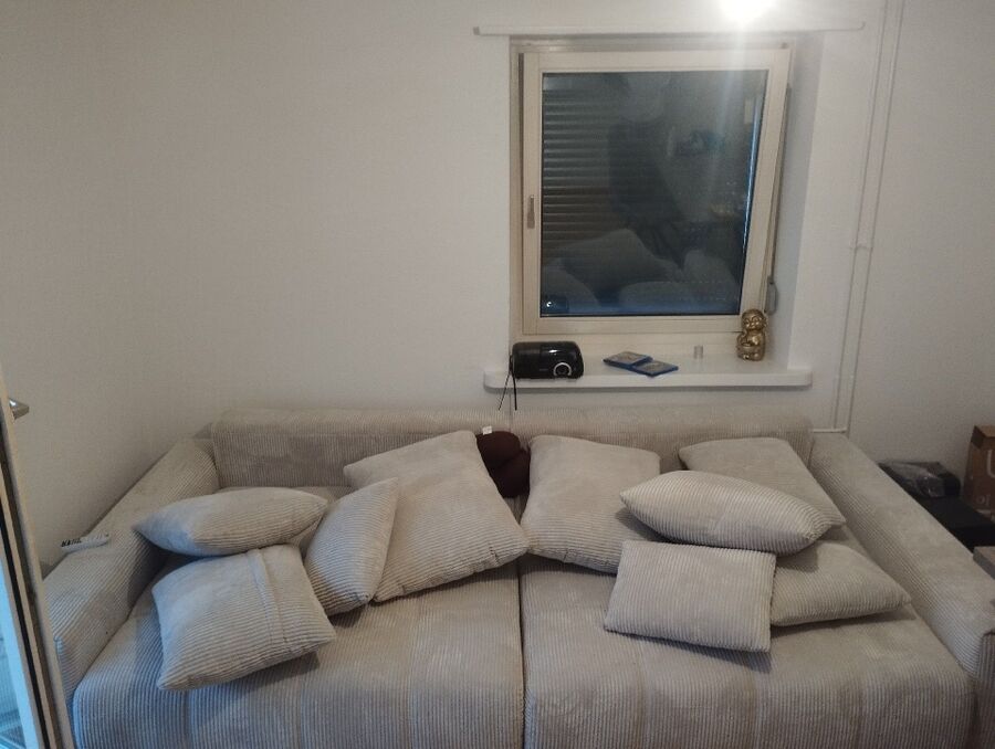 desinfestateur a-Echandens-Inspektion.jpeg