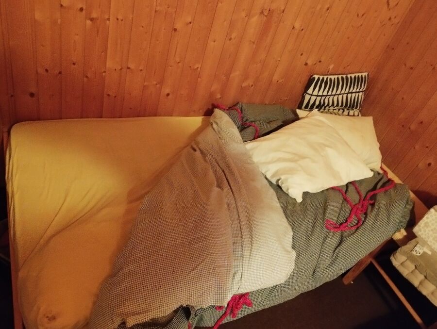 desinfestateur a-Eclépens-Inspektion.jpeg