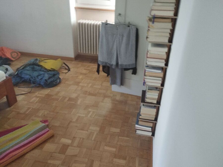 desinfestateur a-Raron-Inspektion.jpeg