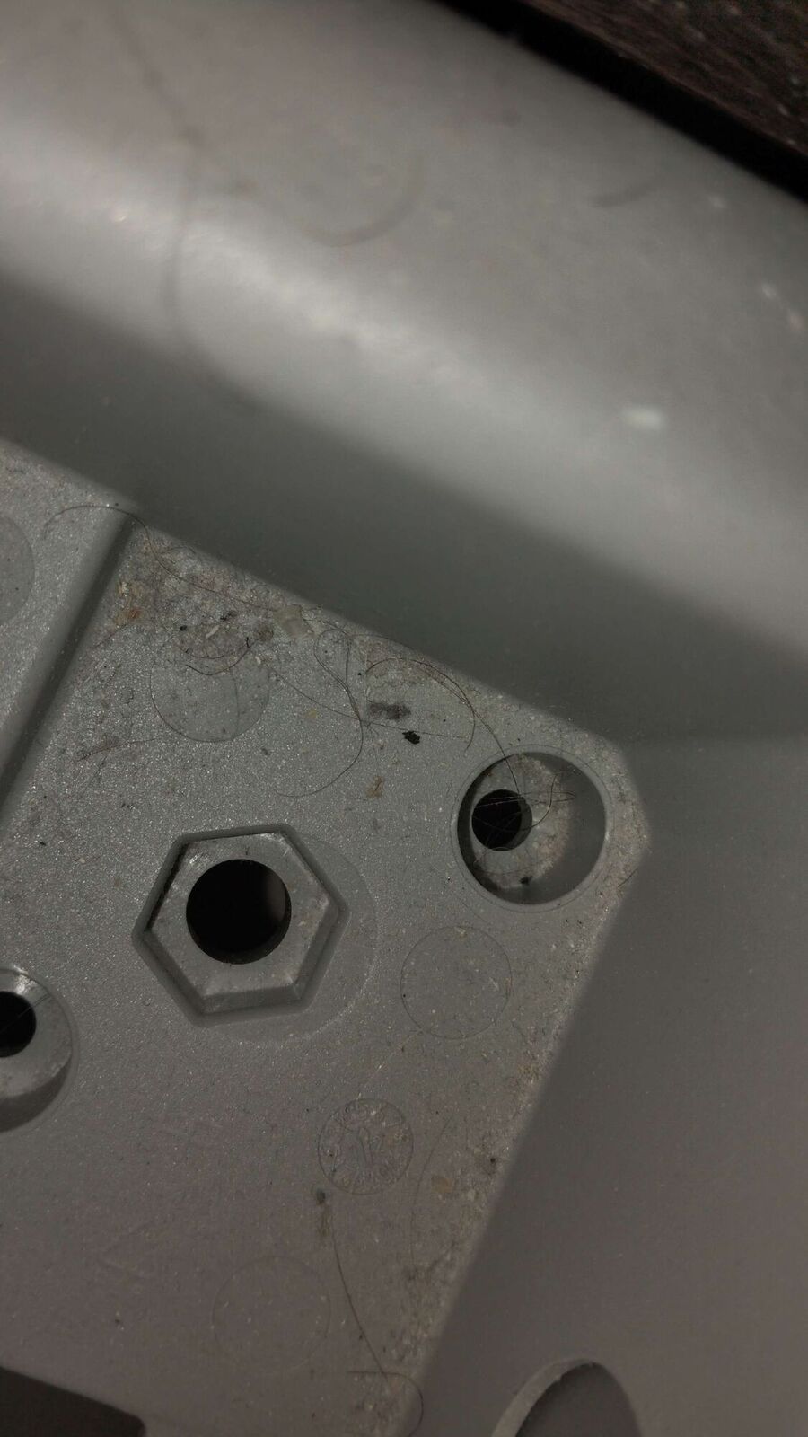 desinfestateur a-Riederalp-Inspektion.jpeg