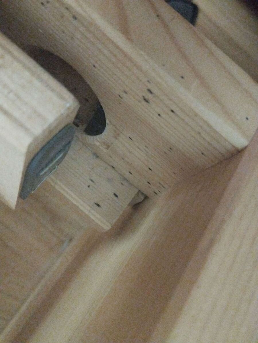 desinfestateur a-Essertines-sur-Yverdon-Inspektion.jpeg