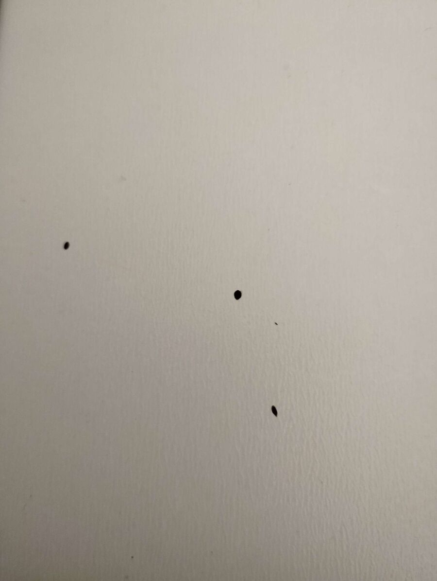 desinfestateur a-Etagnières-Inspektion.jpeg