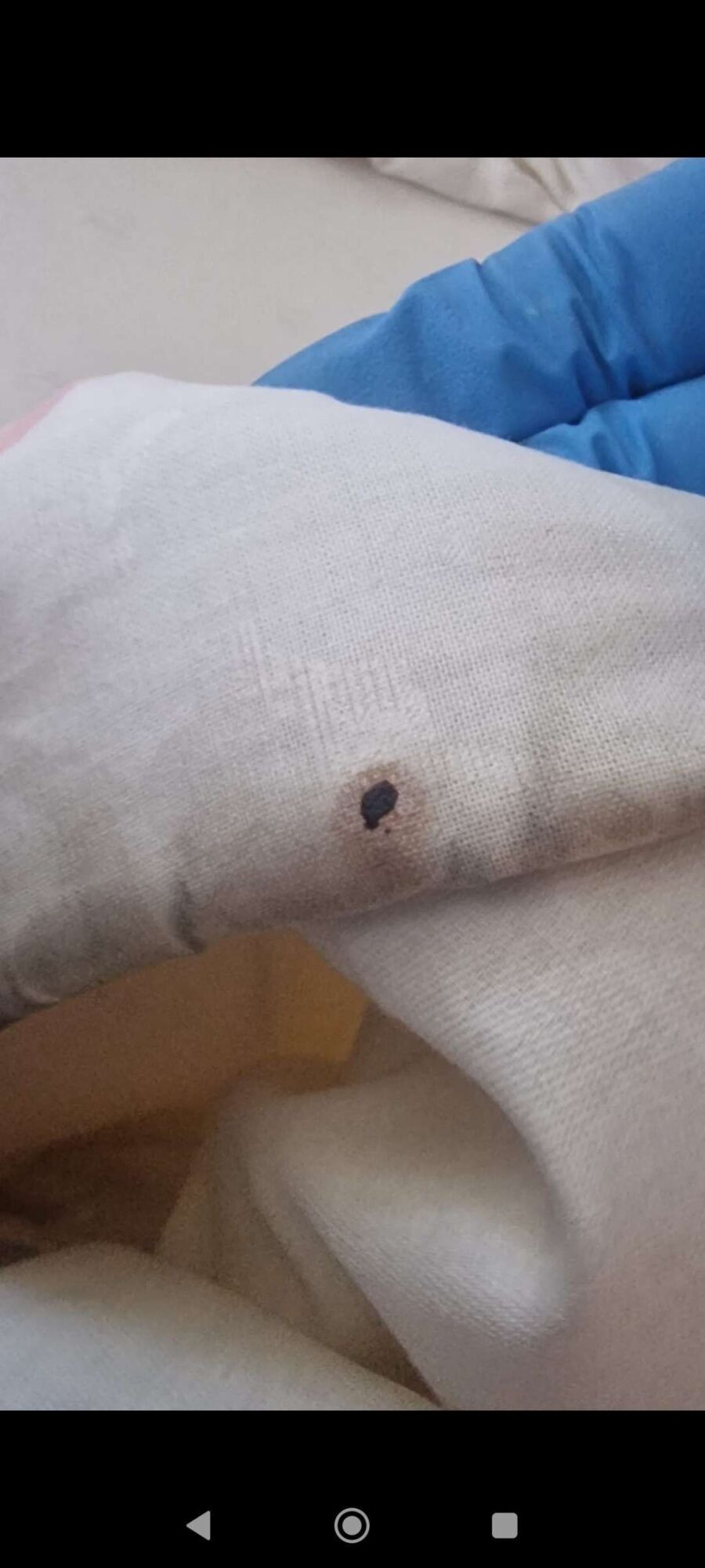 desinfestateur a-Faoug-Inspektion.jpeg