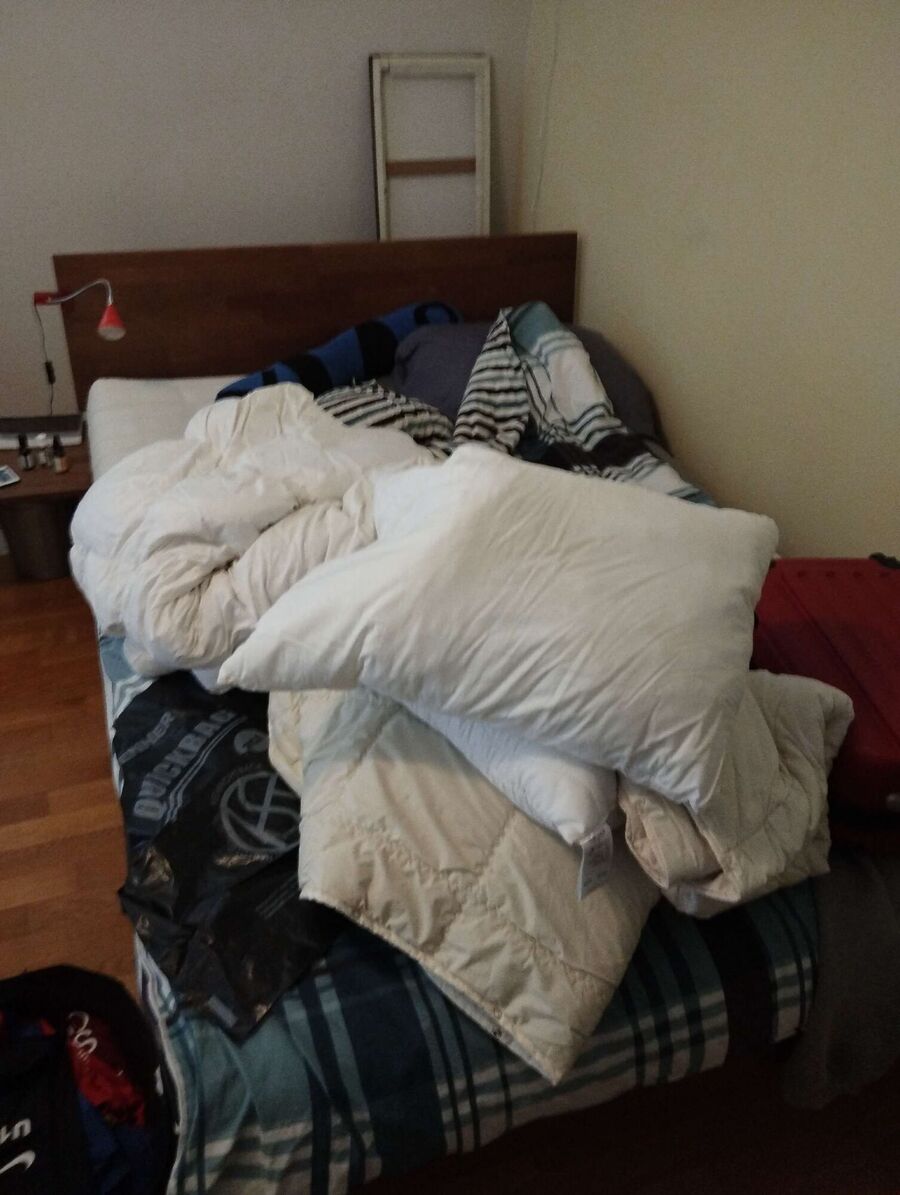 desinfestateur a-Saint-Léonard-Inspektion.jpeg