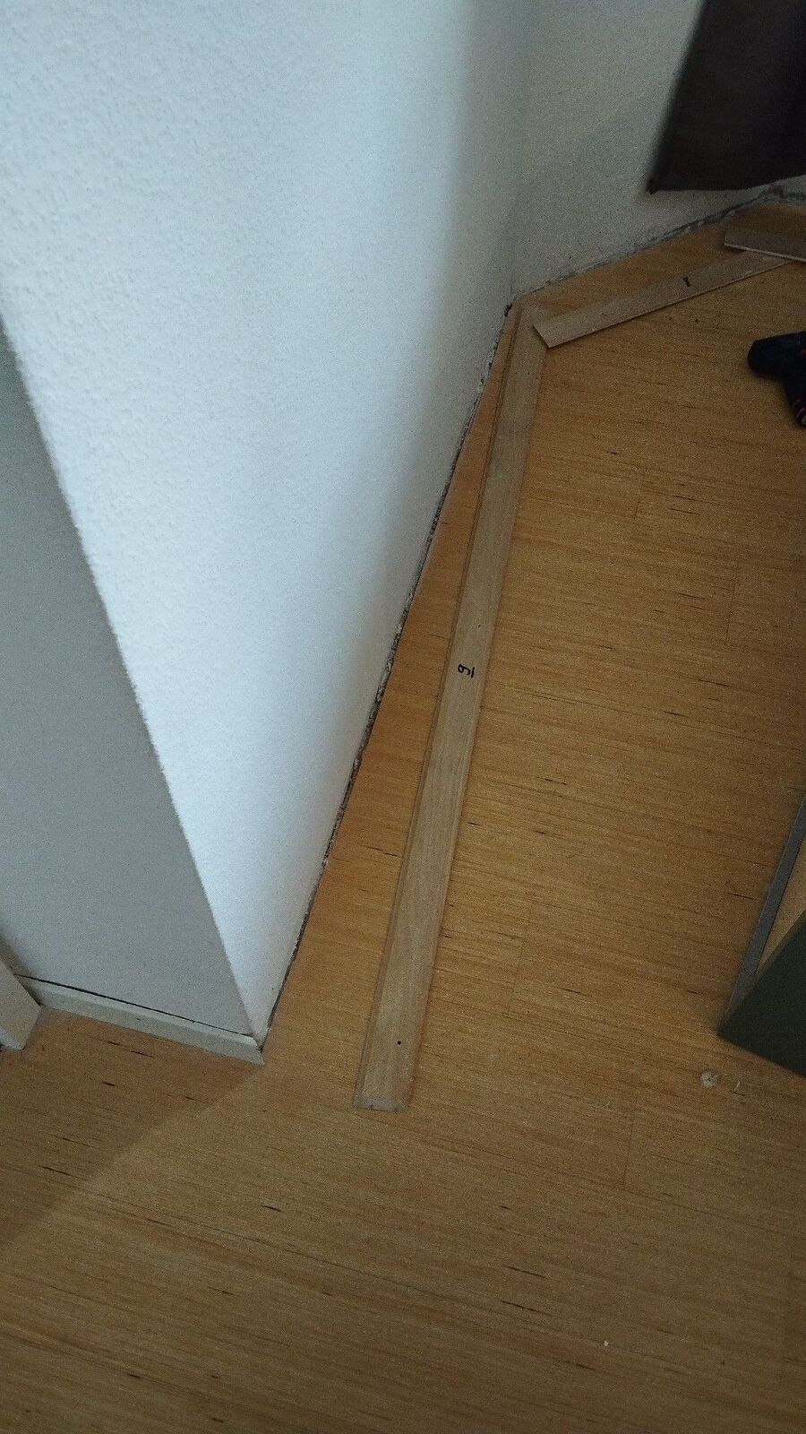 desinfestateur a-Saint-Martin (VS)-Inspektion.jpeg