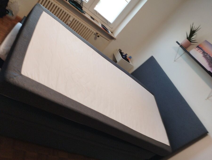 desinfestateur a-Fey-Inspektion.jpeg