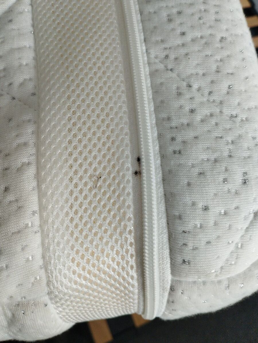 desinfestateur a-Savièse-Inspektion.jpeg