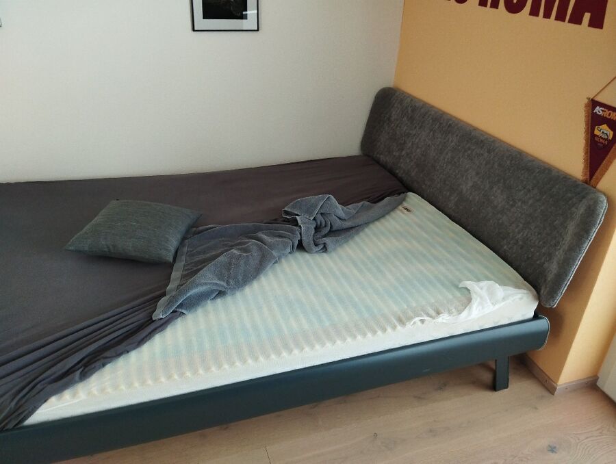 desinfestateur a-Founex-Inspektion.jpeg