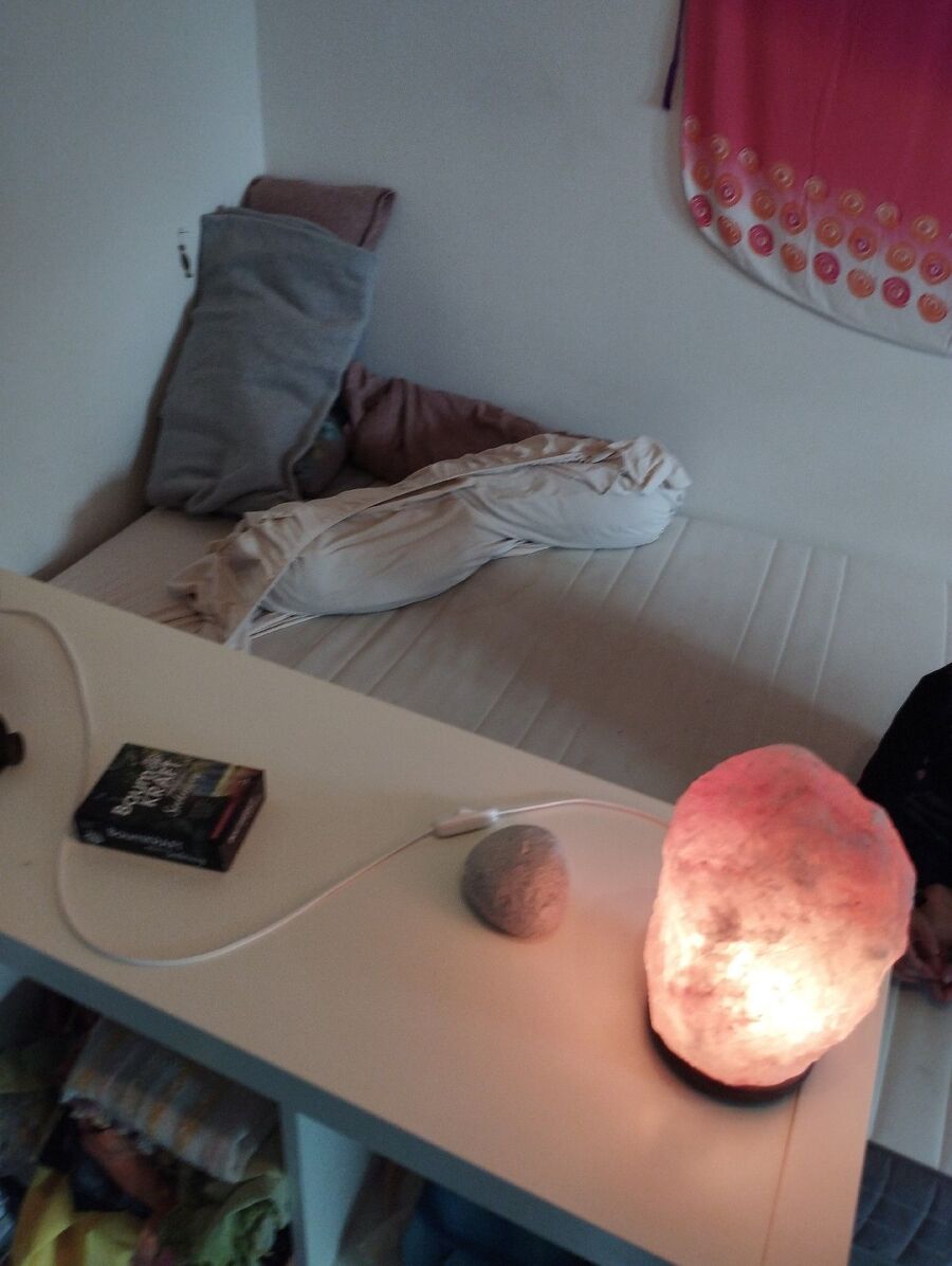 desinfestateur a-Gilly-Inspektion.jpeg