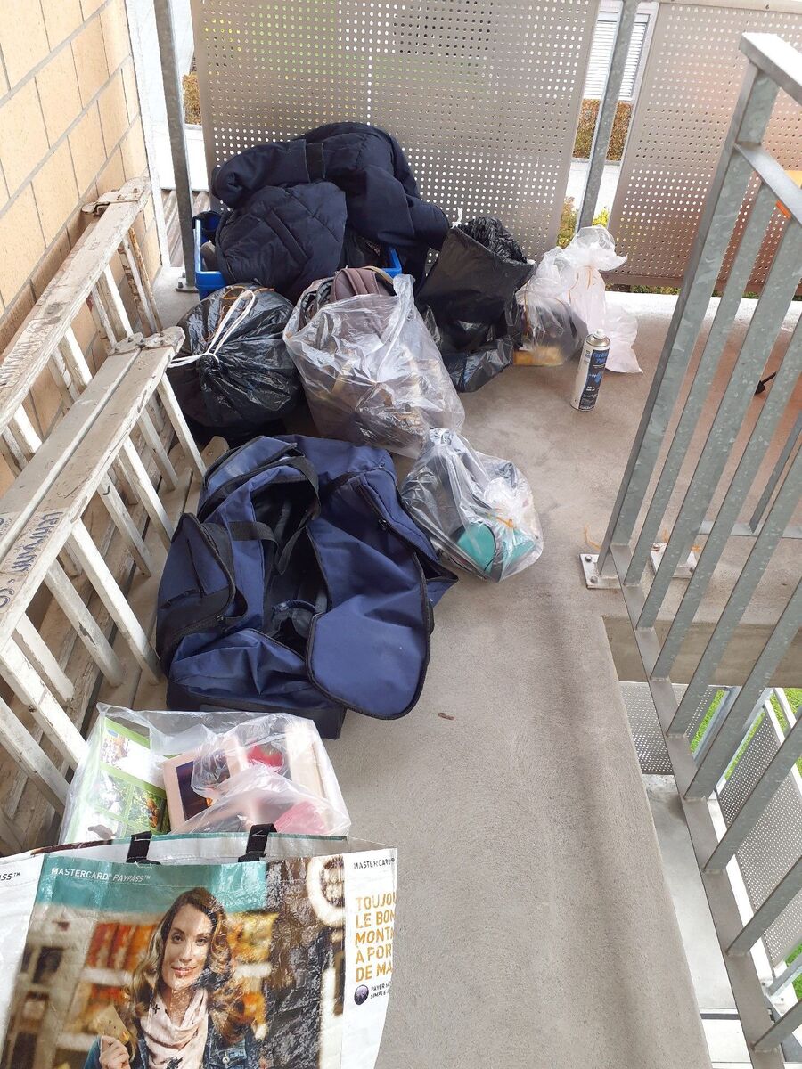 desinfestateur a-Gimel-Inspektion.jpeg