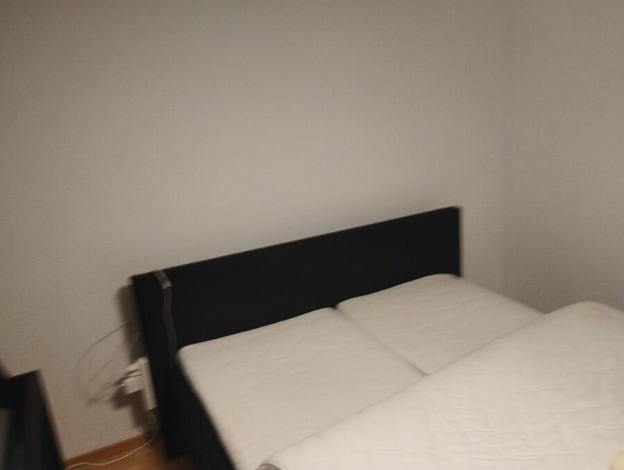 desinfestateur a-Gingins-Inspektion.jpeg