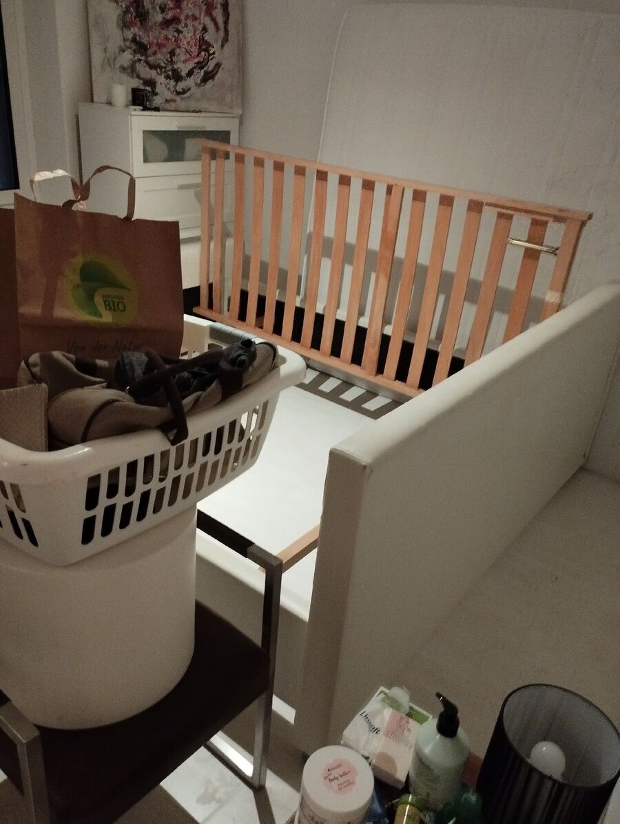 desinfestateur a-Törbel-Inspektion.jpeg