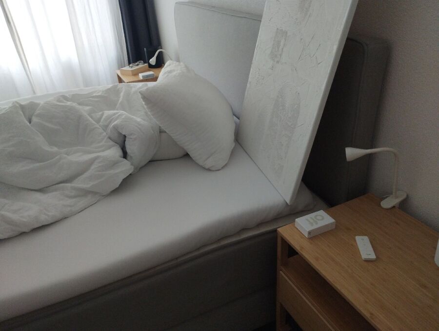 desinfestateur a-Oppens-Inspektion.jpeg