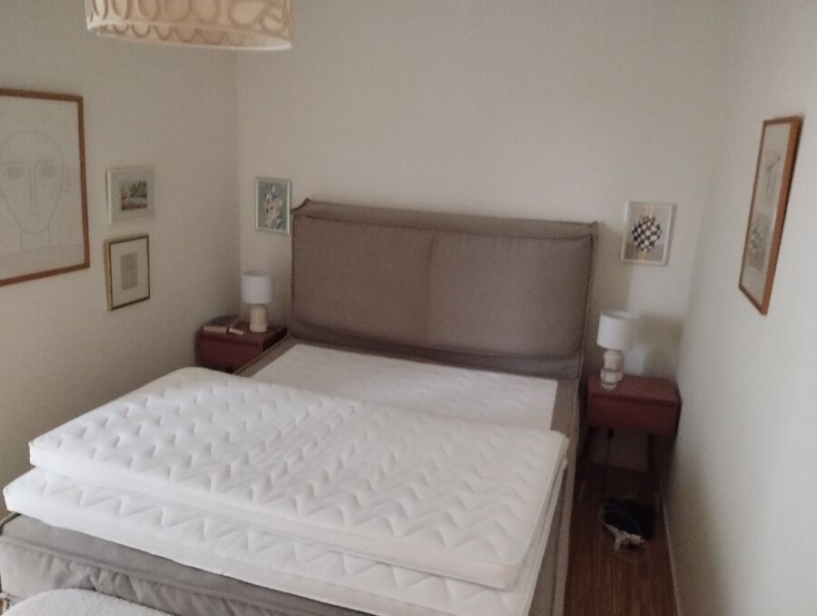 desinfestateur a-Turtmann-Unterems-Inspektion.jpeg