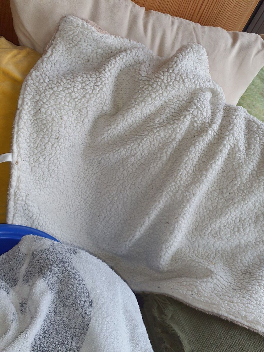 desinfestateur a-Unterbäch-Inspektion.jpeg