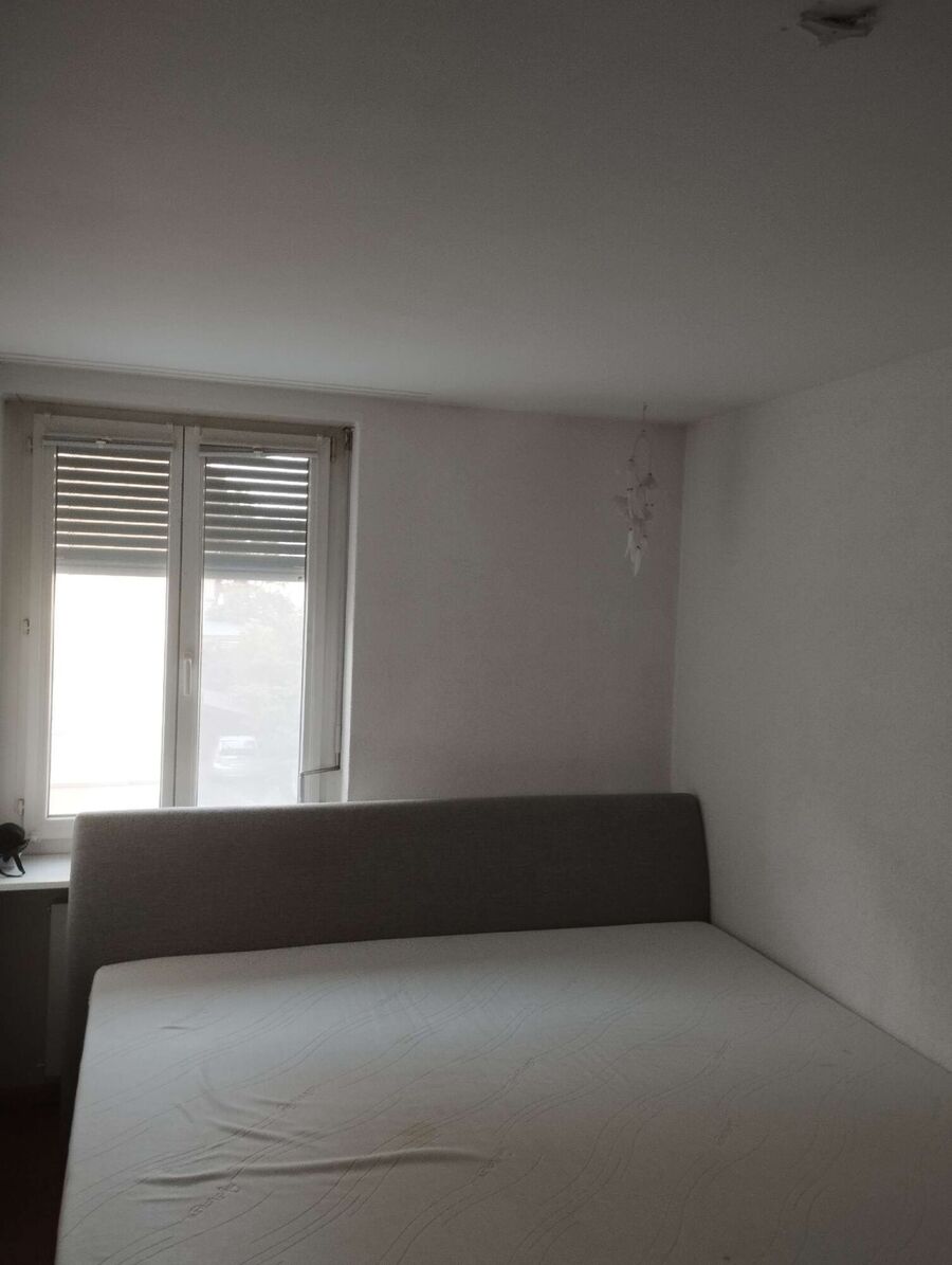 desinfestateur a-Hautemorges-Inspektion.jpeg