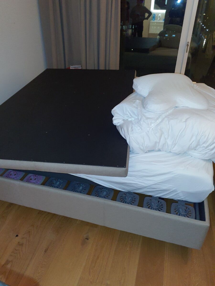 desinfestateur a-Visp-Inspektion.jpeg