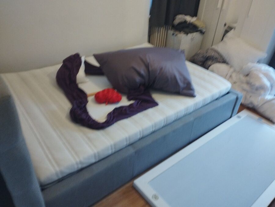 desinfestateur a-Wiler (Lötschen)-Inspektion.jpeg