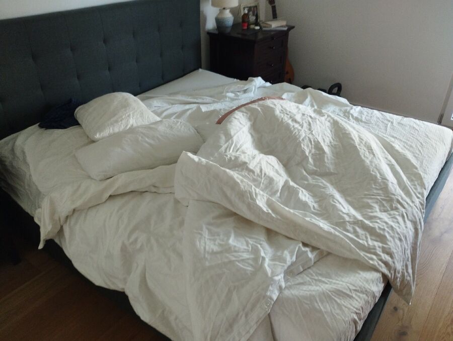 desinfestateur a-Zermatt-Inspektion.jpeg