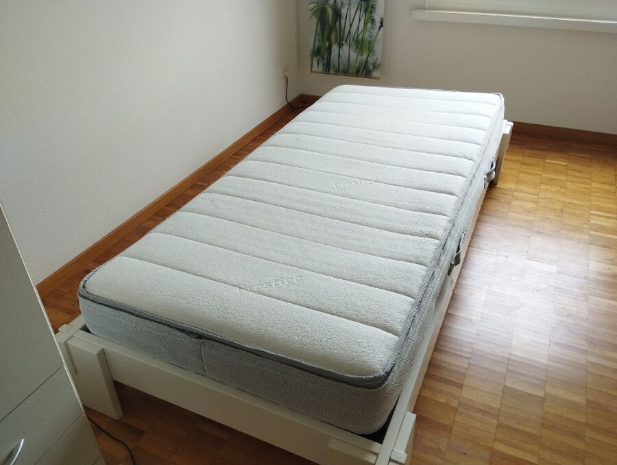 desinfestateur a-L'Abergement-Inspektion.jpeg