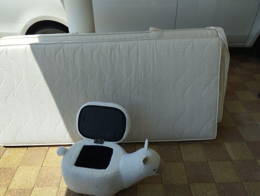 desinfestateur a-Auboranges-Inspektion.jpeg