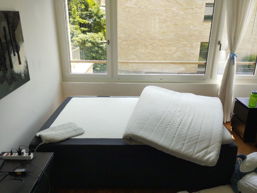 desinfestateur a-Avry-Inspektion.jpeg