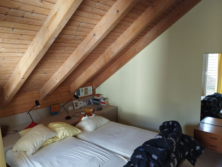 desinfestateur a-Le Mont-sur-Lausanne-Inspektion.jpeg