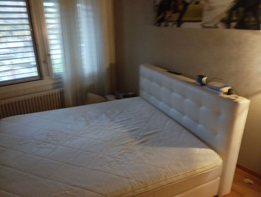 desinfestateur a-Le Vaud-Inspektion.jpeg