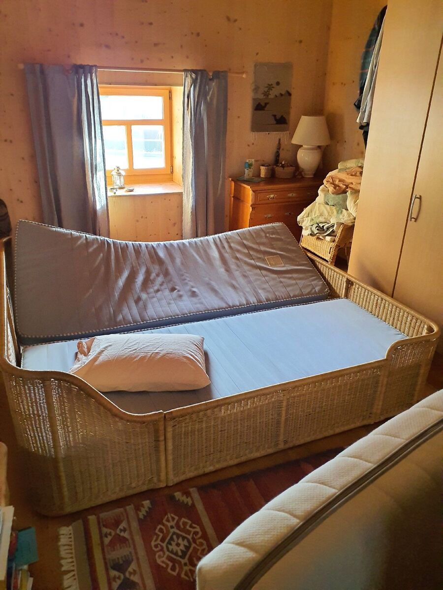 desinfestateur a-Broc-Inspektion.jpeg