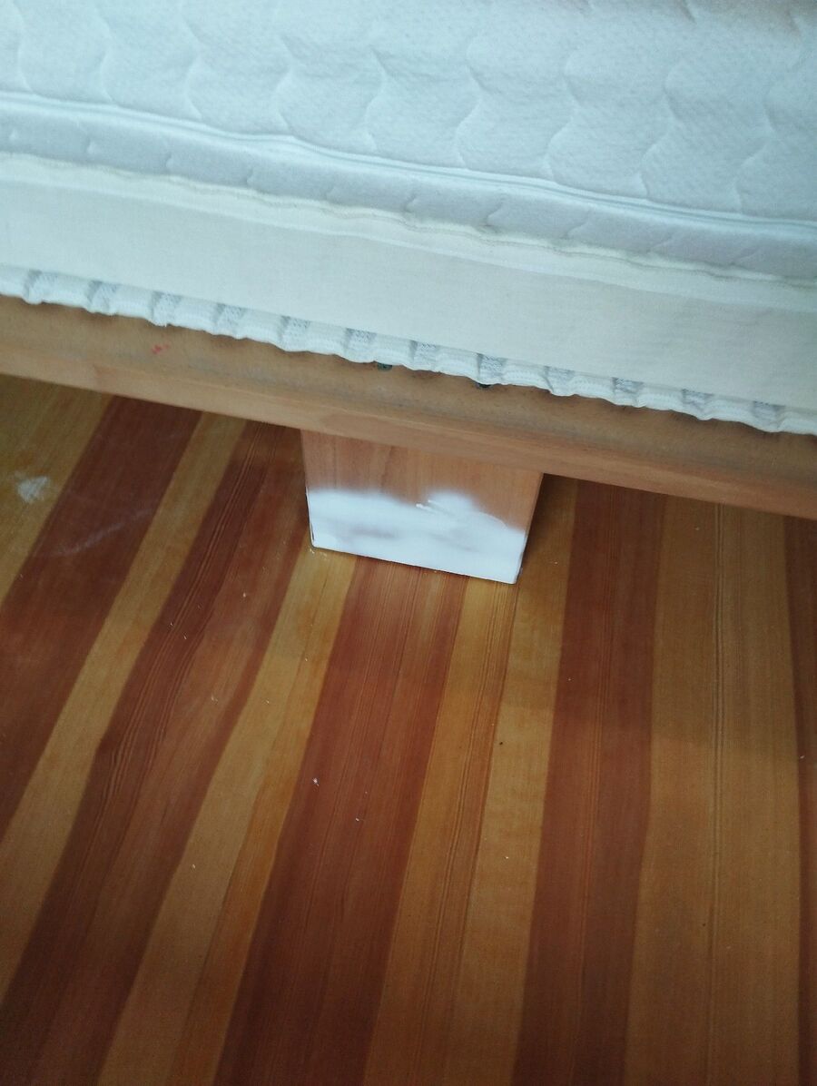 desinfestateur a-Brünisried-Inspektion.jpeg